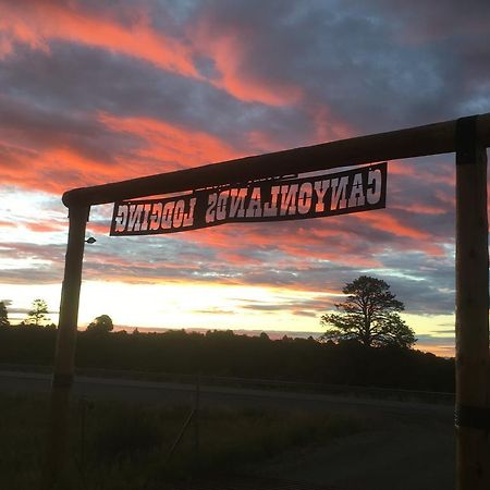 Bluebell Cabin, Glamour Cabin Camping, Stunning Night Sky Monticello Eksteriør billede