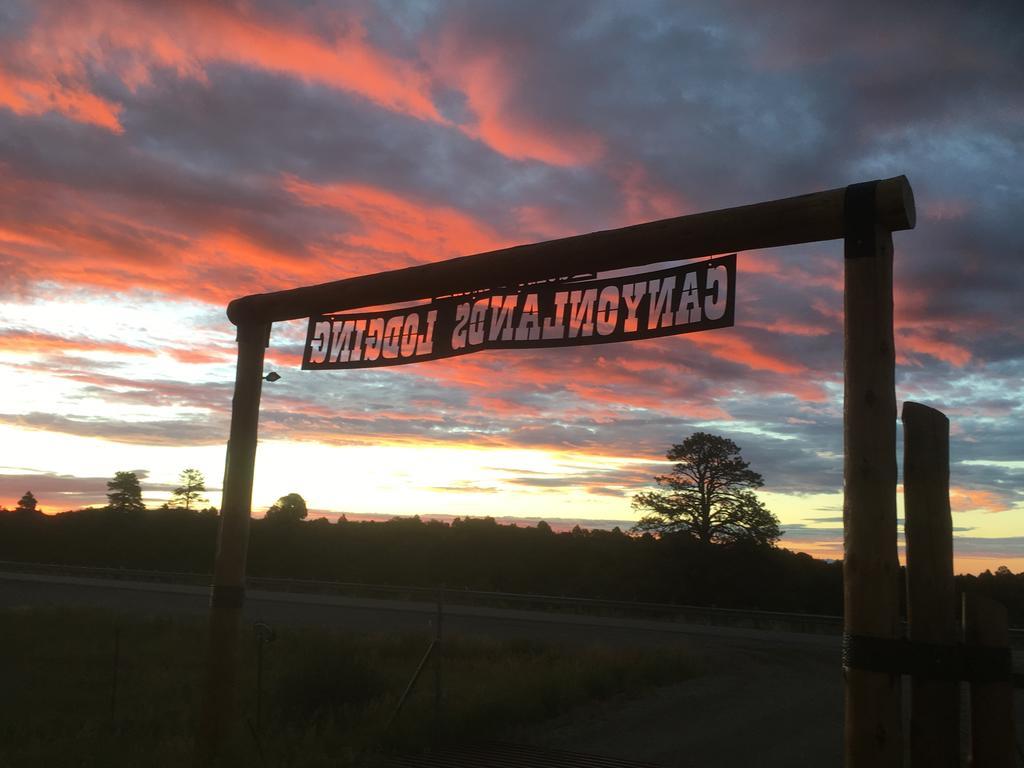 Bluebell Cabin, Glamour Cabin Camping, Stunning Night Sky Monticello Eksteriør billede